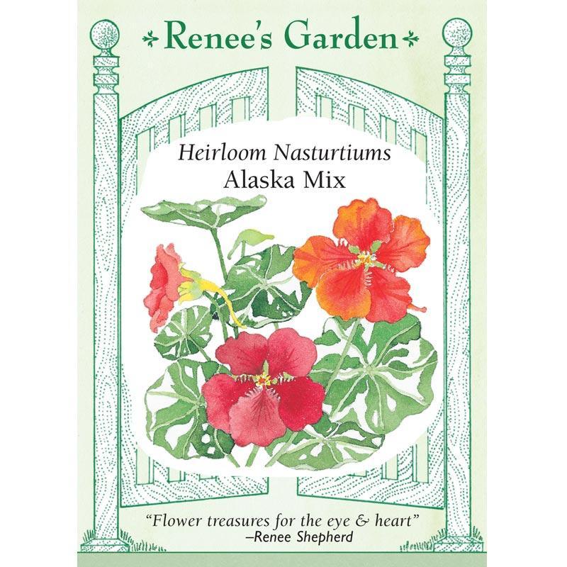 Alaska Nasturtium Flower Seed Mix