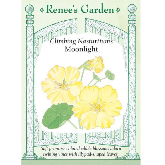 Moonlight Climbing Nasturtium Flower Seeds