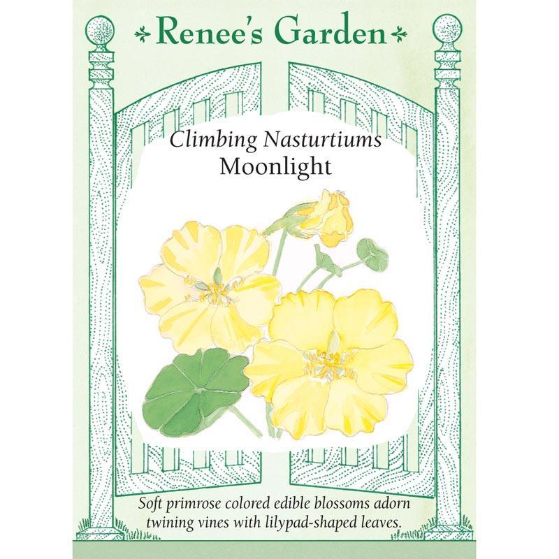 Moonlight Climbing Nasturtium Flower Seeds