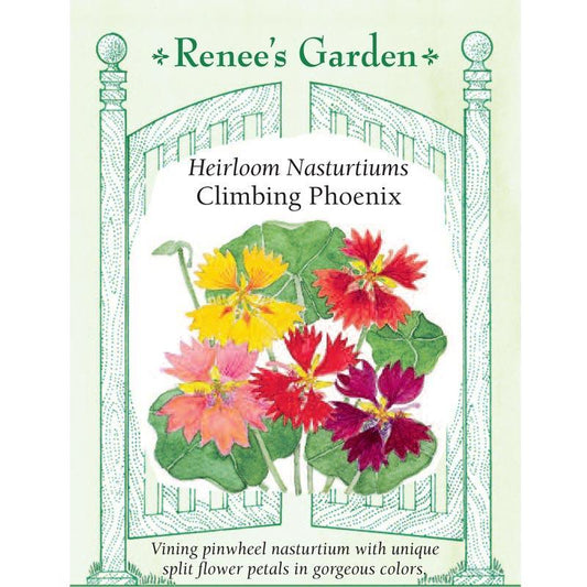Phoenix Climbing Nasturtium Flower Seeds