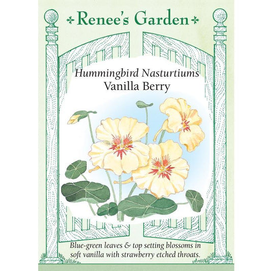 Vanilla Berry Hummingbird Nasturtium Flower Seeds