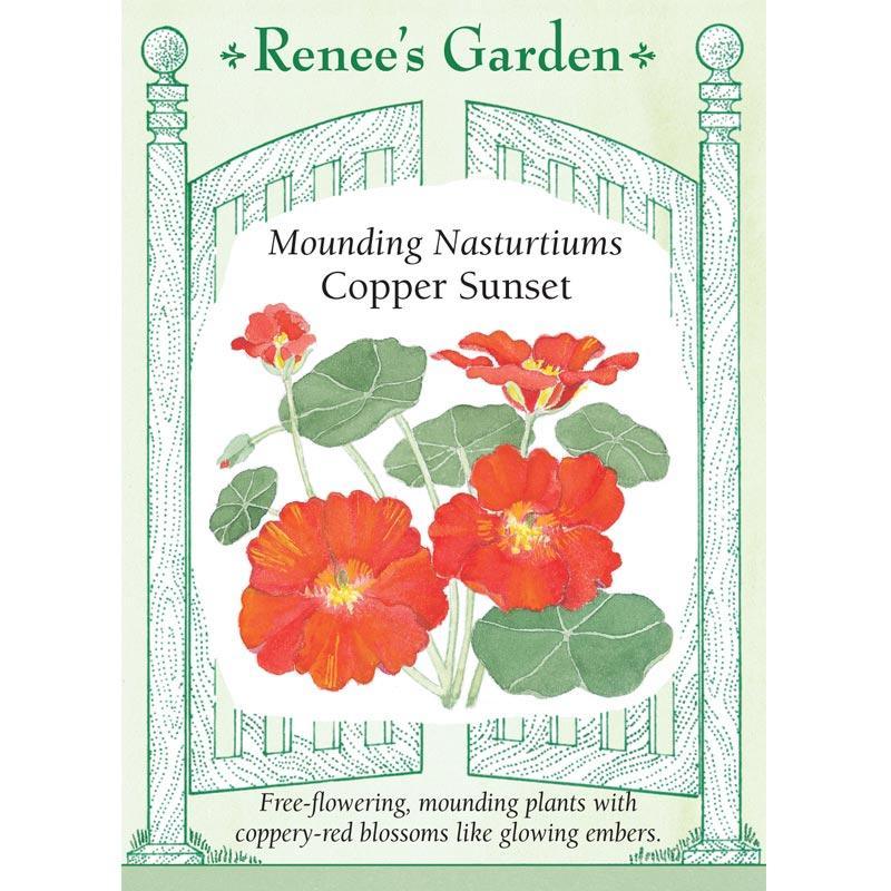 Copper Sunset Mounding Nasturtium Flower Seeds