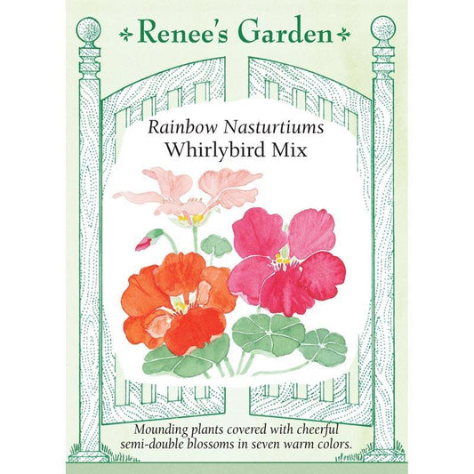 Whirlybird Rainbow Nasturtium Flower Seed Mix