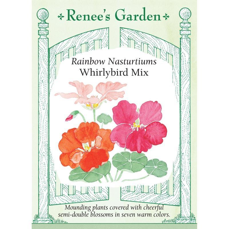 Whirlybird Rainbow Nasturtium Flower Seed Mix