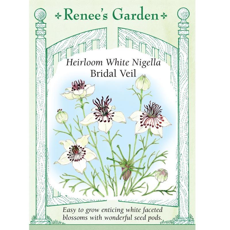 Bridal Veil White Nigella Flower Seeds
