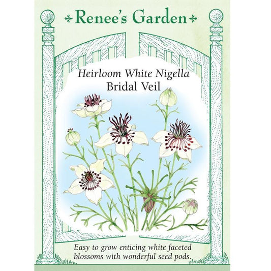 Bridal Veil White Nigella Flower Seeds