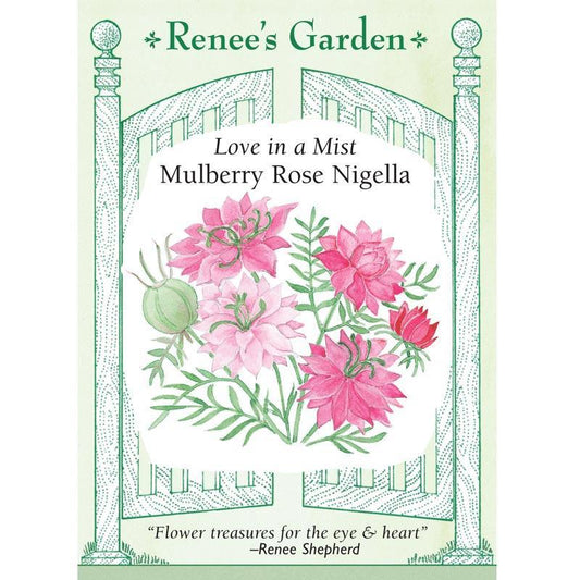 Mulberry Rose Love In A Mist Nigella Flower Seeds