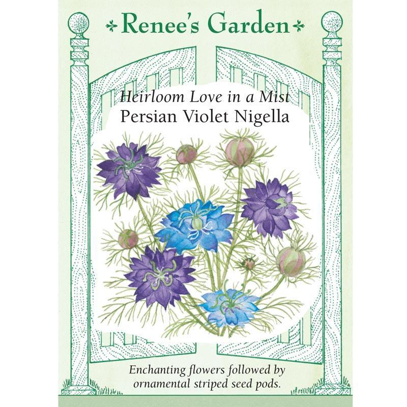 Persian Violet Love In A Mist Nigella Flower Seeds