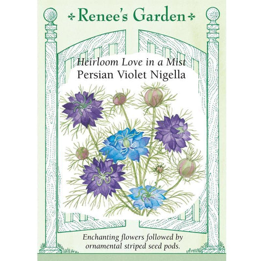 Persian Violet Love In A Mist Nigella Flower Seeds