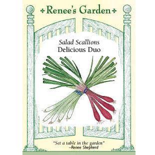 Delicious Duo Scallion Onion Seed Mix