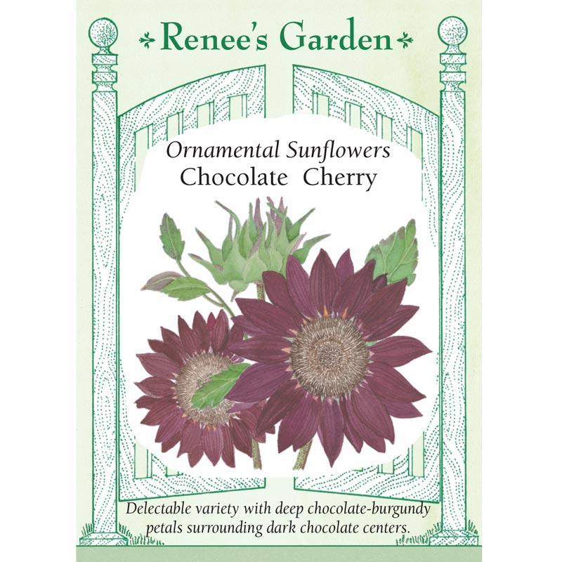 Chocolate Cherry Ornamental Sunflower Flower Seeds