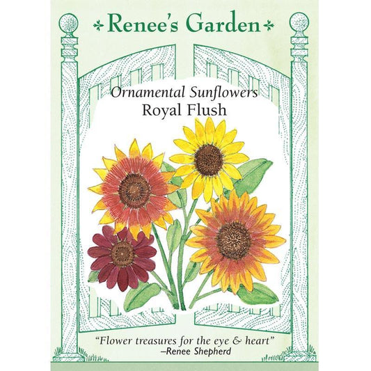 Royal Flush Ornamental Sunflower Flower Seeds