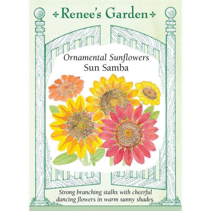Sun Samba Ornamental Sunflower Flower Seeds