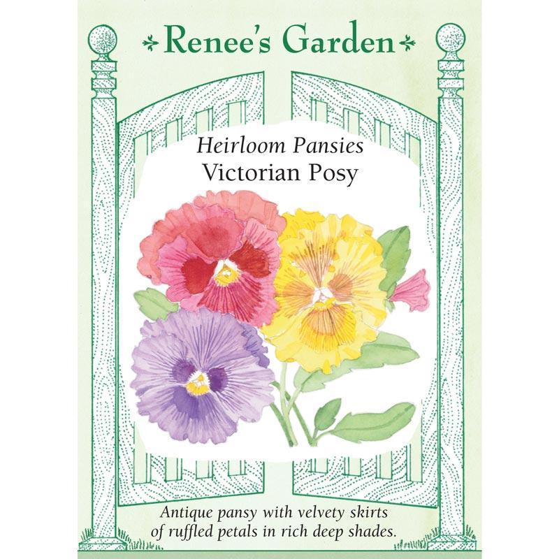 Victorian Posy Pansy Flower Seeds