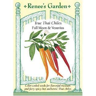 Thai Duo Orange Full Moon & Red Vesuvius Chile Pepper Seeds