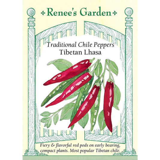 Lhasa Tibetan Chile Pepper Seeds