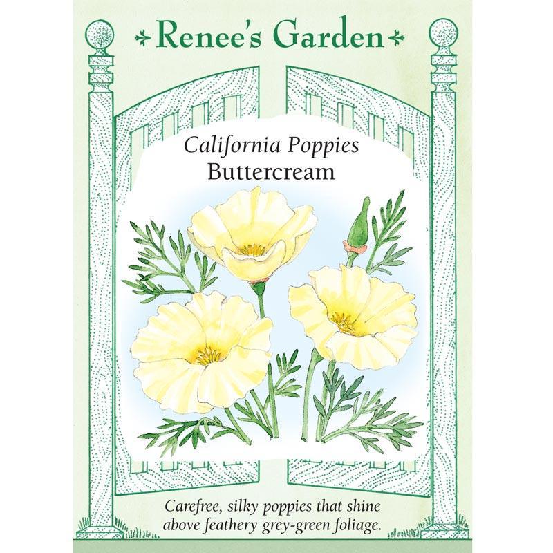Buttercream California Poppy Flower Seeds