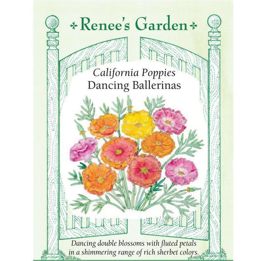 Dancing Ballerinas California Poppy Flower Seeds