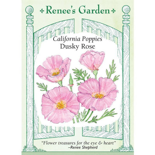 Dusky Rose California Poppy Flower Seeds