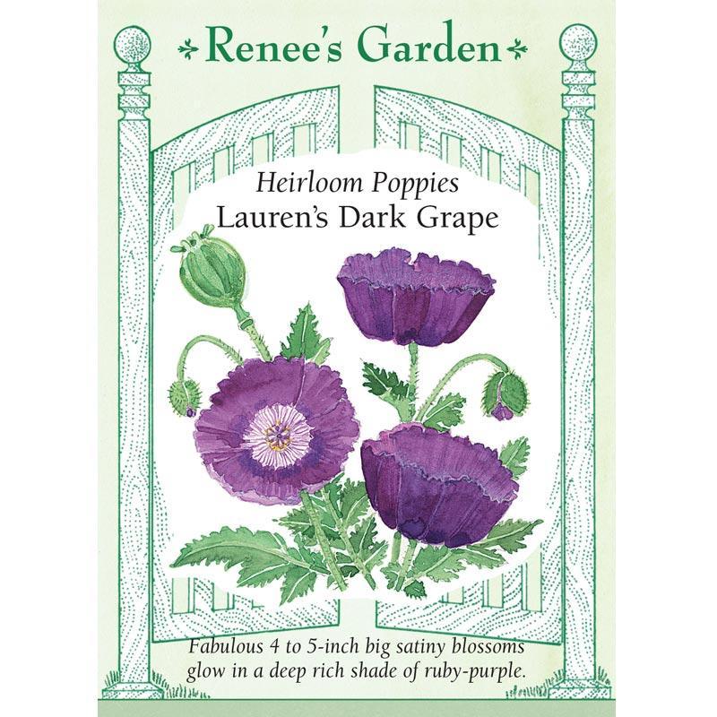 Lauren's Dark Grape Heirloom Poppy Flower Seeds