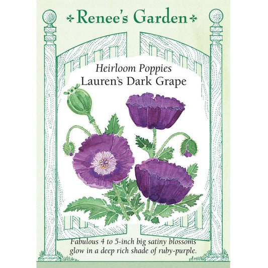 Lauren's Dark Grape Heirloom Poppy Flower Seeds