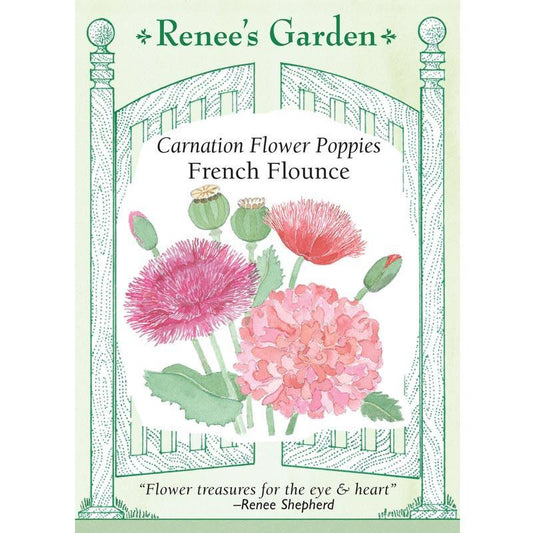 French Flounce Carnation Poppy Flower Seeds
