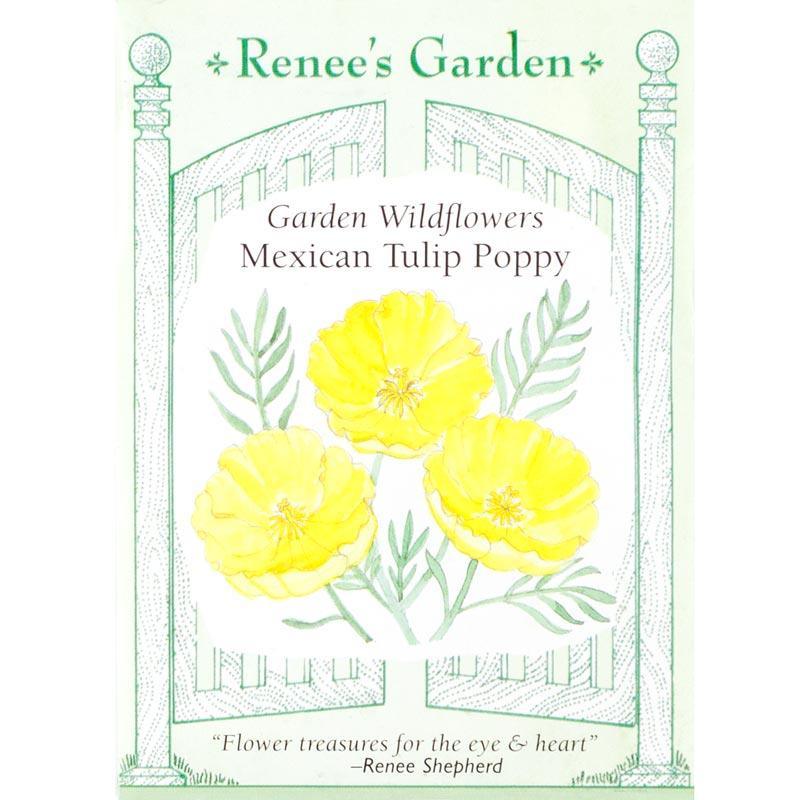Mexican Tulip Poppy Flower Seeds