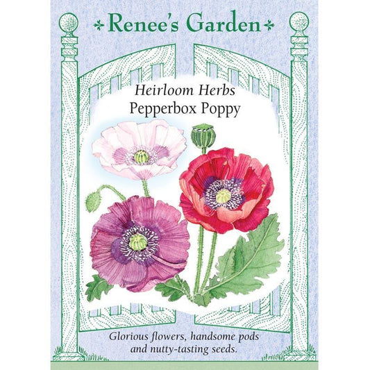Pepperbox Poppy Seeds