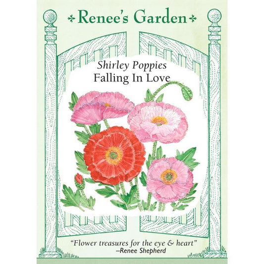 Falling in Love Shirley Poppy Flower Seeds