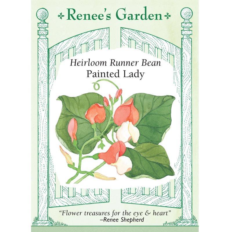 Painted Lady Flower Runner Bean Seeds