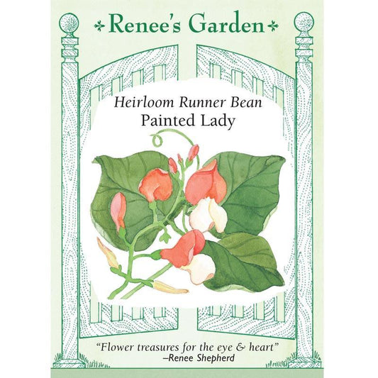 Painted Lady Flower Runner Bean Seeds
