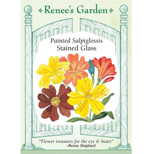 Painted Stained Glass Salpiglossis Flower Seeds