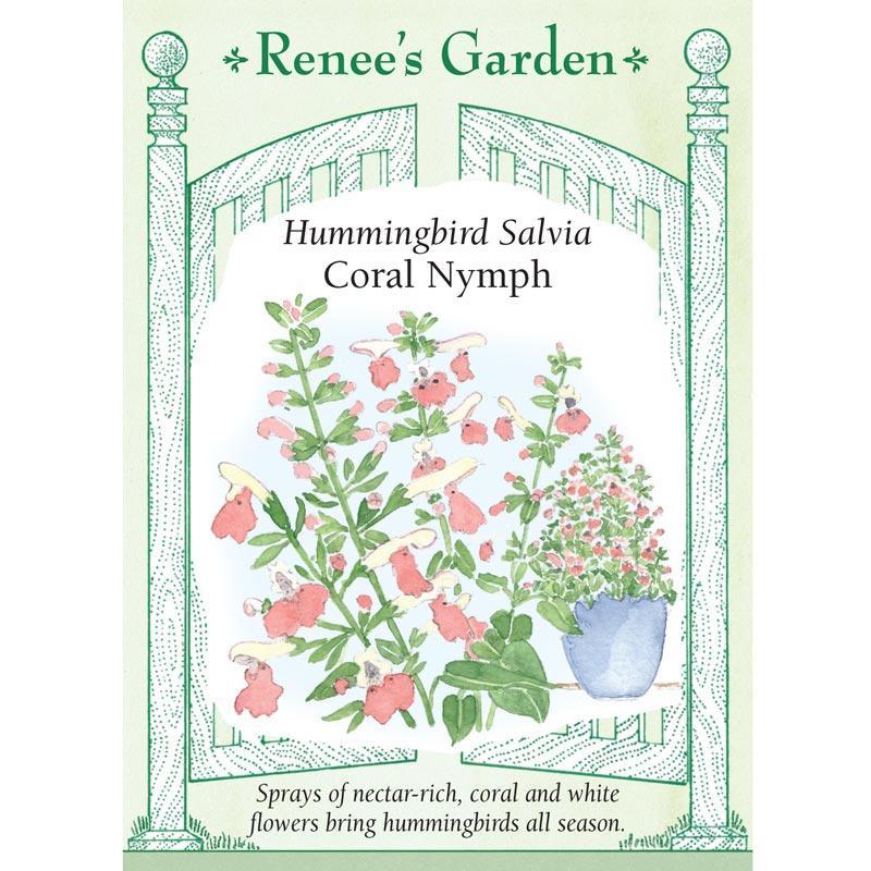 Coral Nymph Hummingbird Salvia Flower Seeds