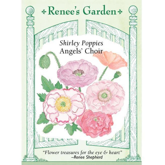 Shirley Poppy Angel's Choir Flower Seeds