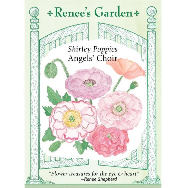 Shirley Poppy Angel's Choir Flower Seeds