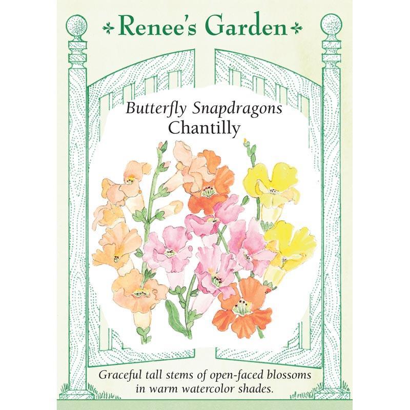 Chantilly Butterfly Snapdragon Flower Seeds