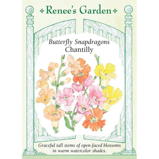 Chantilly Butterfly Snapdragon Flower Seeds