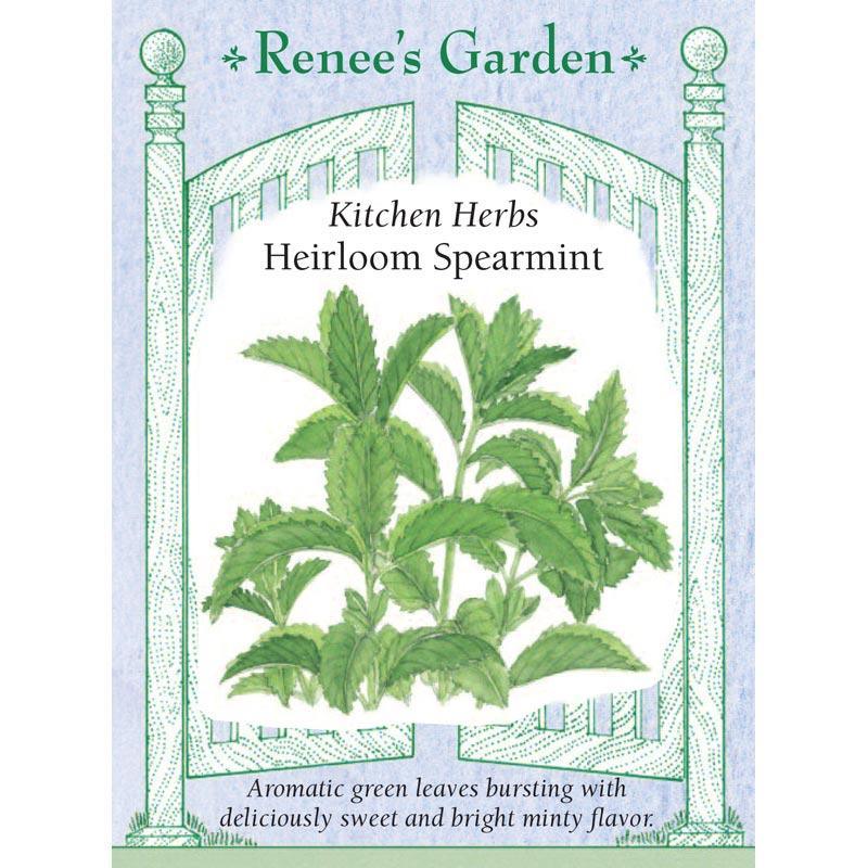 Heirloom Spearmint Seeds