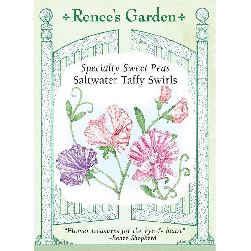 Saltwater Taffy Swirls Specialty Sweet Pea Flower Seeds