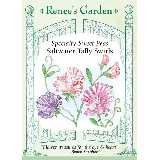 Saltwater Taffy Swirls Specialty Sweet Pea Flower Seeds