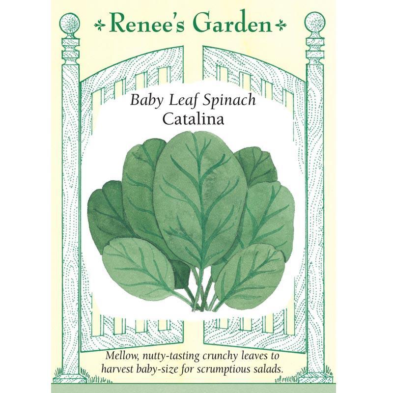 Catalina Baby Leaf Spinach Seeds