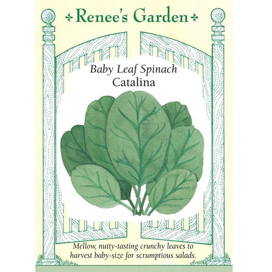 Catalina Baby Leaf Spinach Seeds