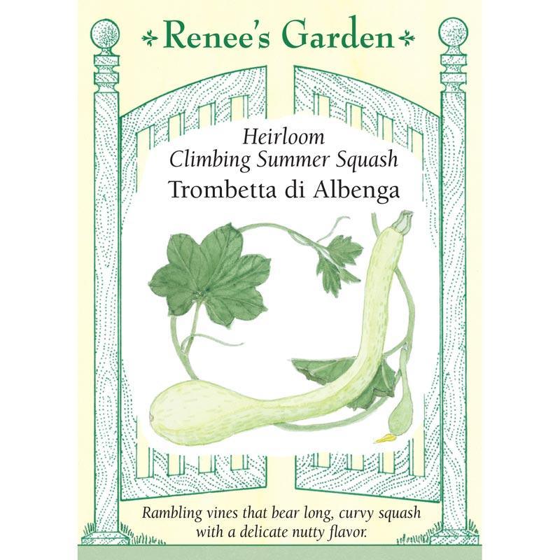 Trombetta di Albinga Climbing Summer Squash Seeds