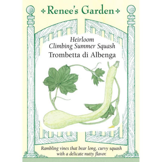 Trombetta di Albinga Climbing Summer Squash Seeds