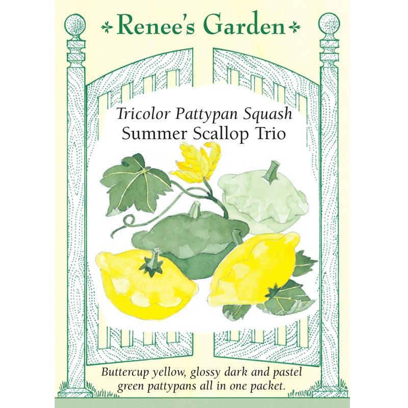 Scallop Trio Summer Squash Seed Mix