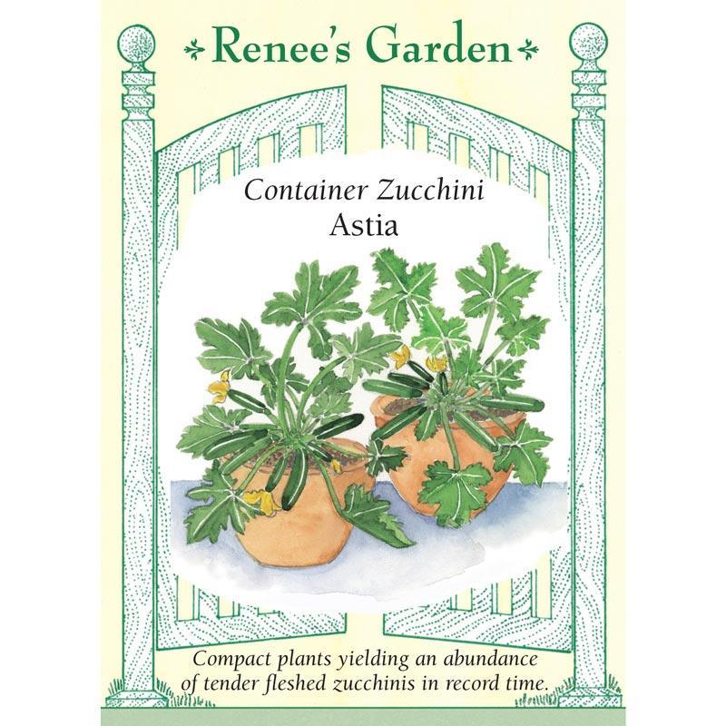 Astia Zucchini Summer Squash Seeds