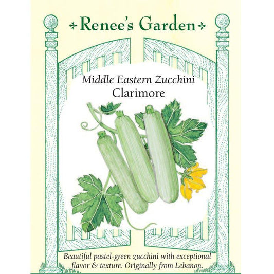 Mid-East Clarimore Zucchini Summer Squash Seeds