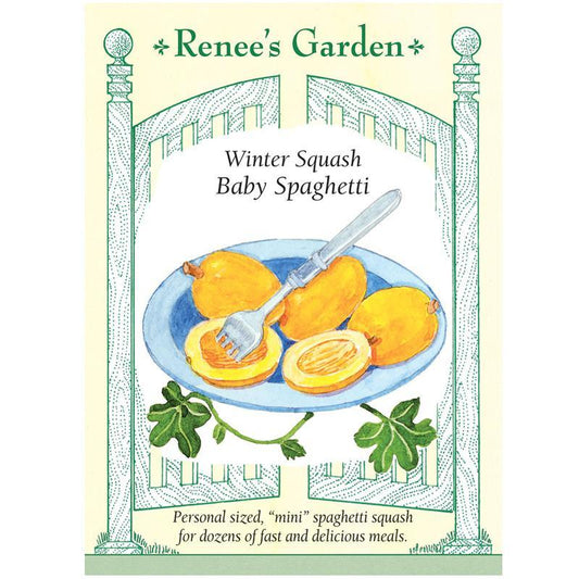 Baby Spaghetti Winter Squash Seeds