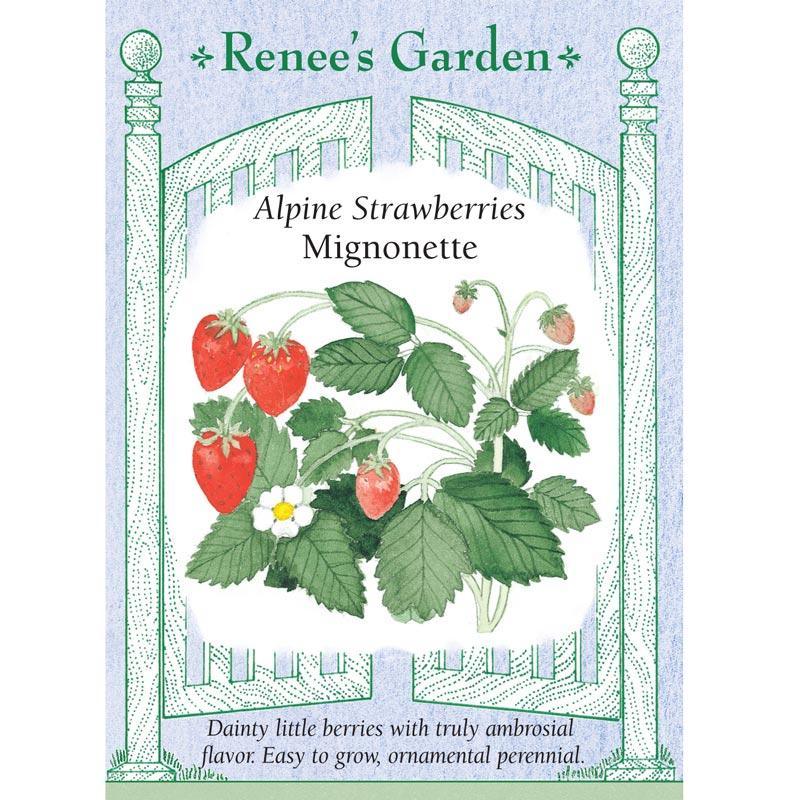 Mignonette Alpine Strawberry Seeds