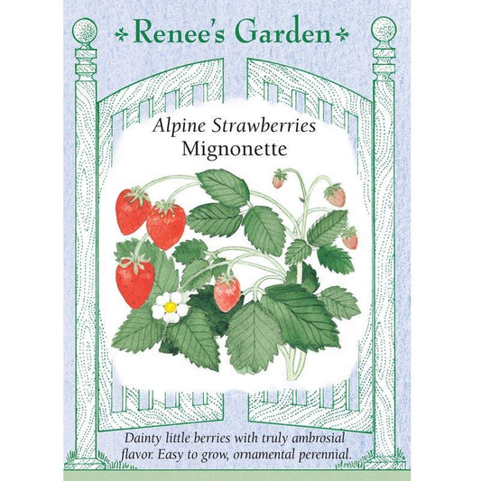 Mignonette Alpine Strawberry Seeds